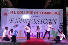 hlcc-expressions-2024-138